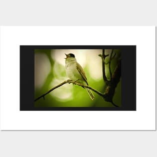 THE WOODLAND WARBLER Posters and Art
